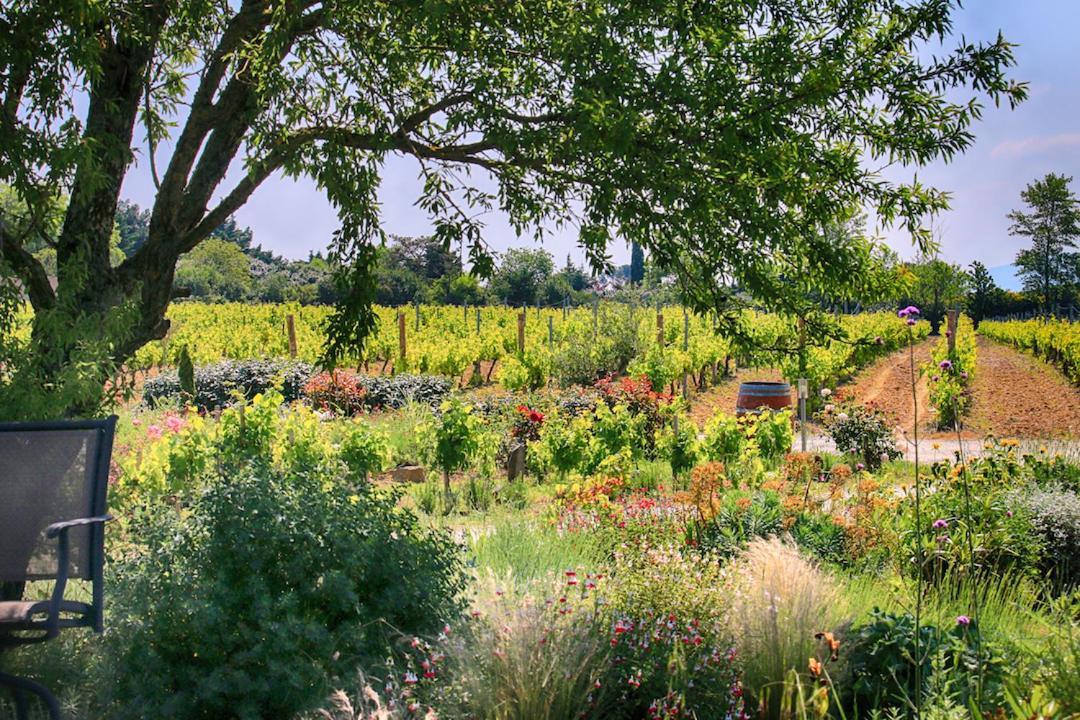 O'Vineyards B&B Carcassonne Villemoustaussou Екстер'єр фото