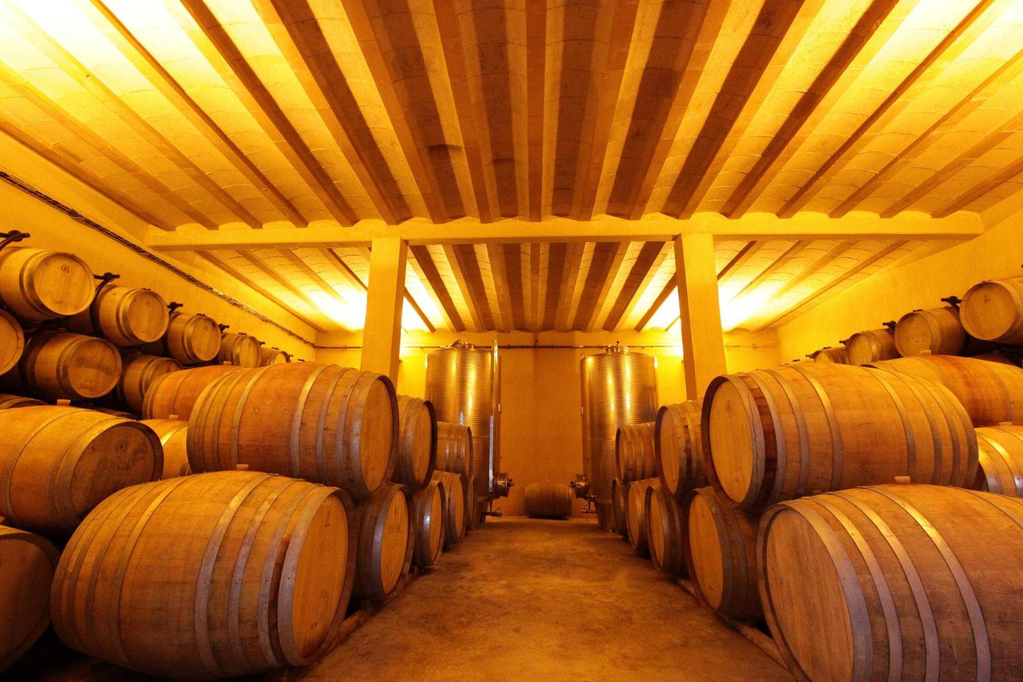 O'Vineyards B&B Carcassonne Villemoustaussou Екстер'єр фото