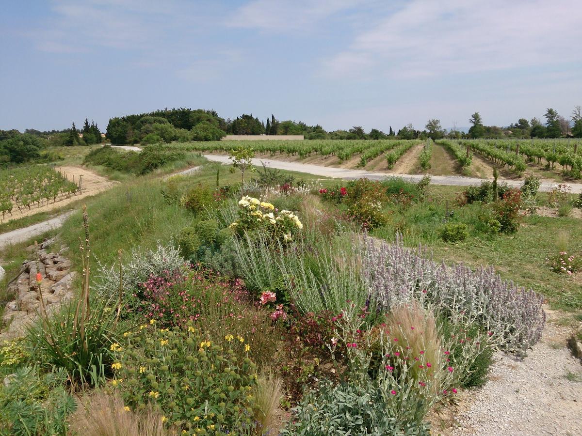 O'Vineyards B&B Carcassonne Villemoustaussou Номер фото