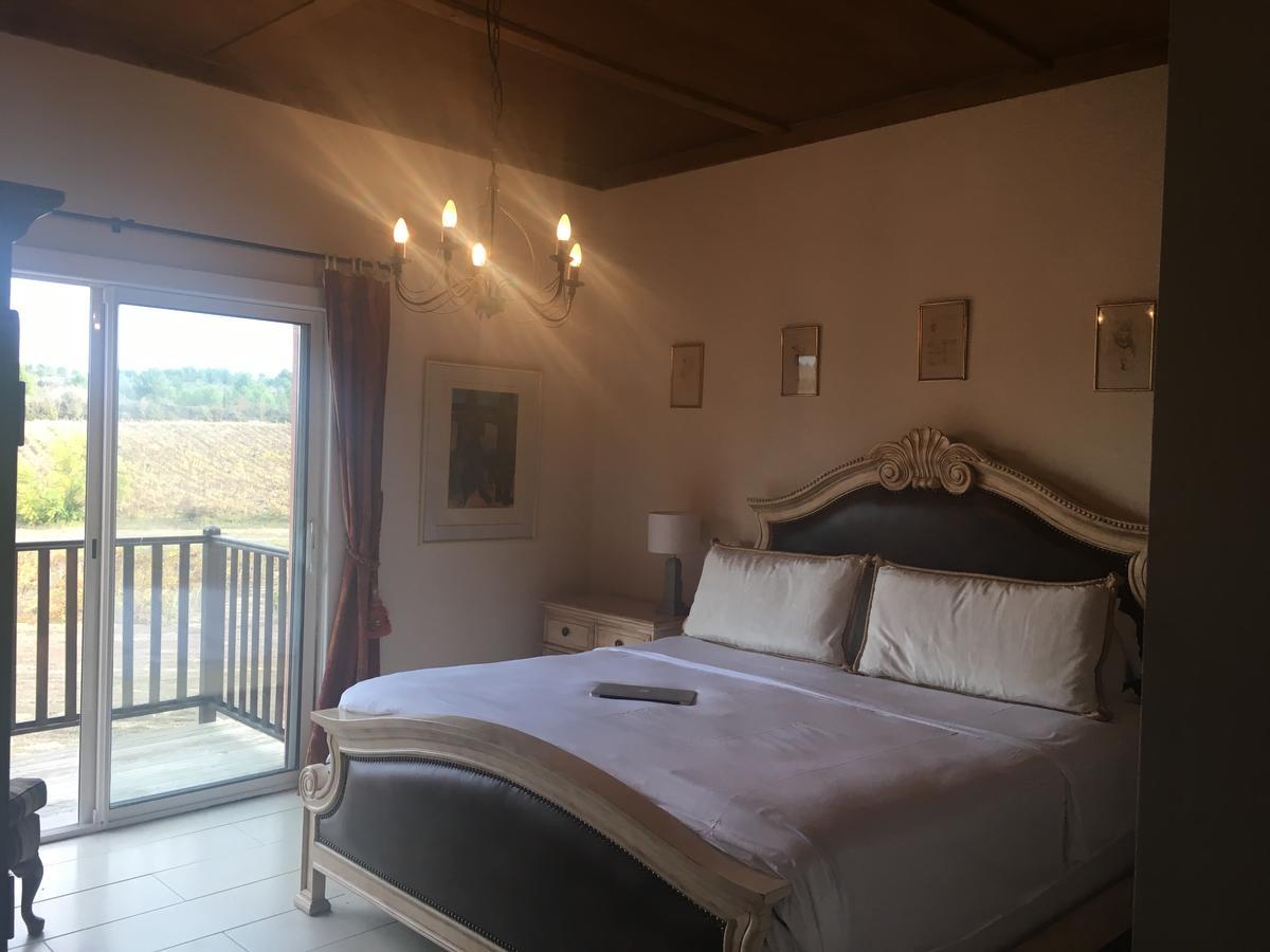 O'Vineyards B&B Carcassonne Villemoustaussou Екстер'єр фото