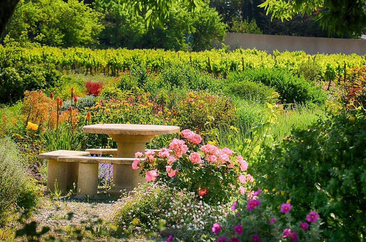 O'Vineyards B&B Carcassonne Villemoustaussou Екстер'єр фото