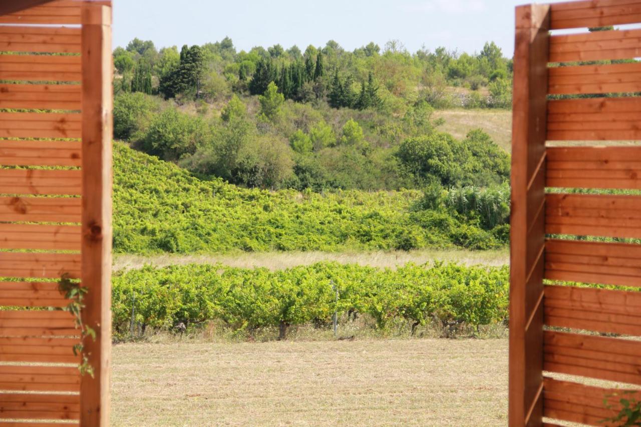 O'Vineyards B&B Carcassonne Villemoustaussou Екстер'єр фото